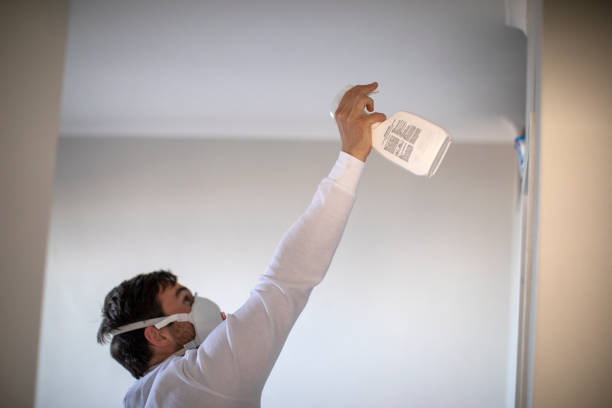 Best Water Damage Restoration  in Avalon, CA