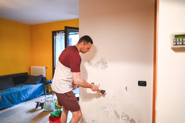 Best Best Mold Removal Companies  in Avalon, CA